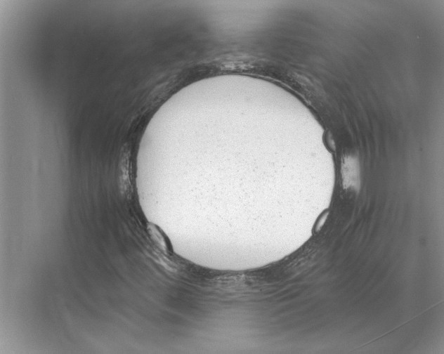 X0000072531444200608111734