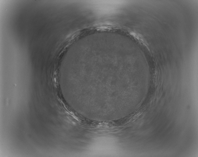 X0000072531445200608111734