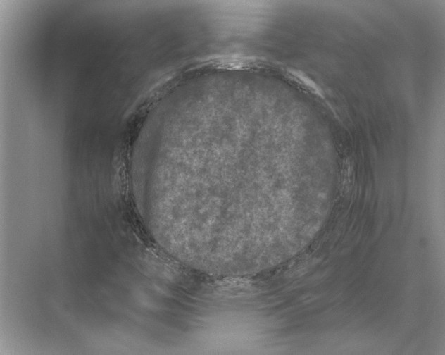 X0000072531446200608111734