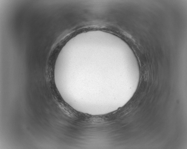 X0000072531448200608111734