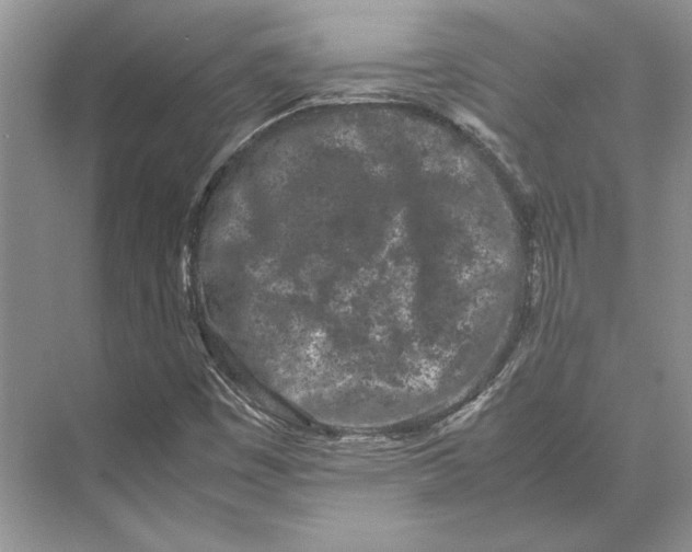 X0000072531449200608111734