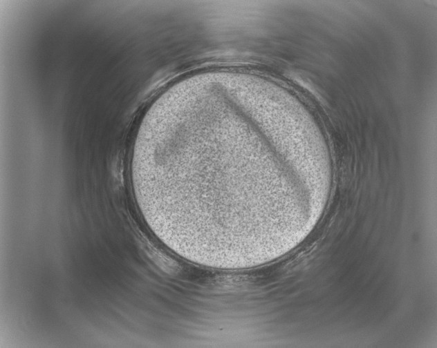 X0000072531451200608111734