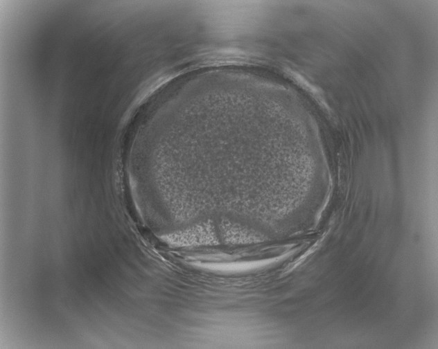 X0000072531453200608111734