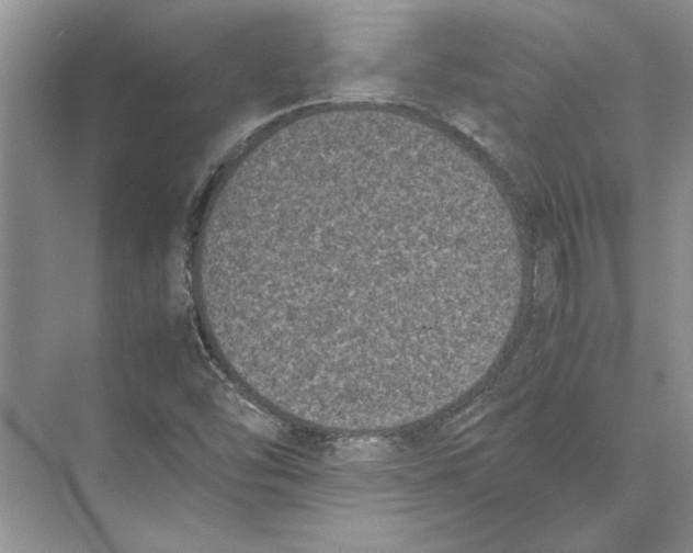 X0000072531454200608111734