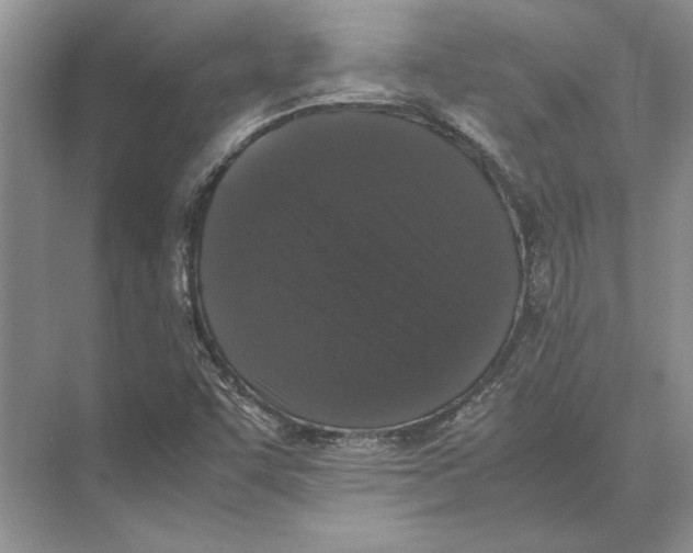 X0000072531455200608111734