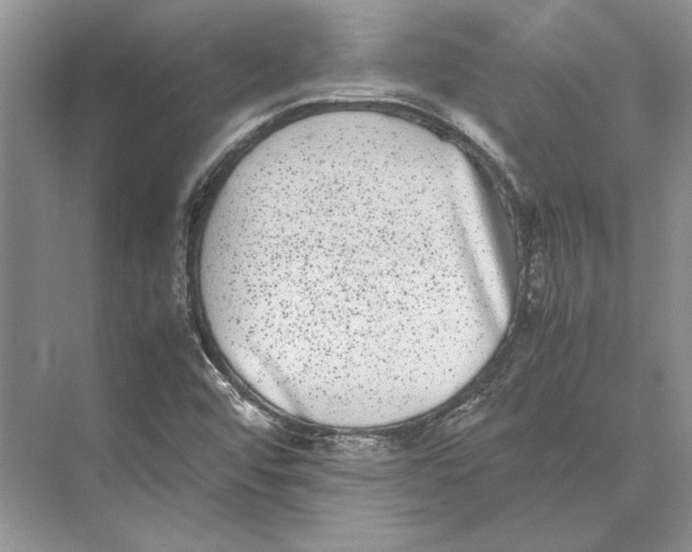 X0000072531456200608111734