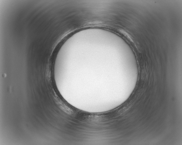 X0000072531458200608111734