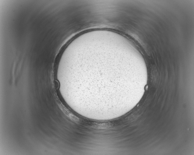 X0000072531460200608111734