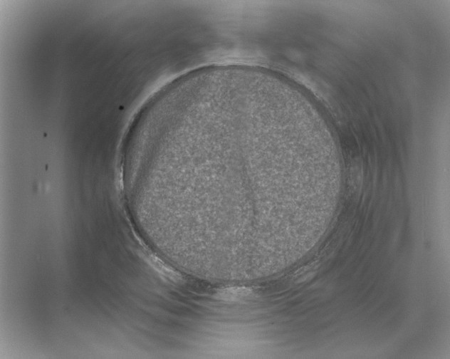 X0000072531462200608111734