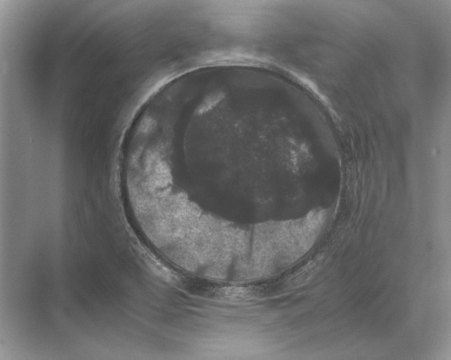 X0000072531463200608111733