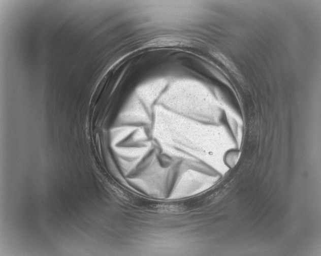 X0000072531465200608111733