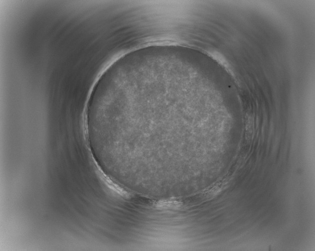 X0000072531466200608111733