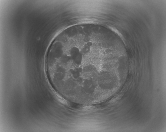 X0000072531467200608111733