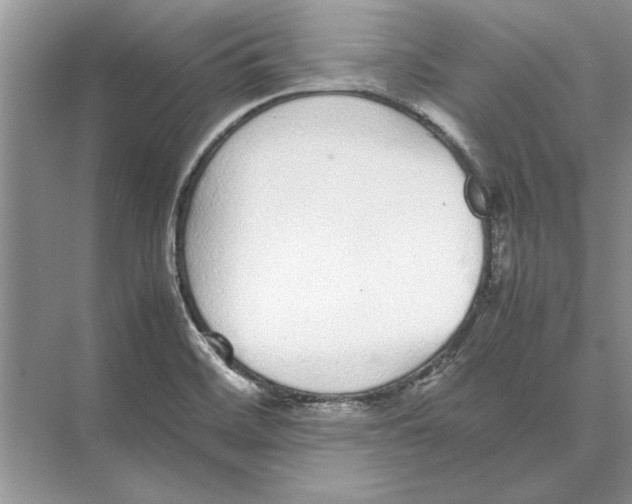 X0000072531468200608111733