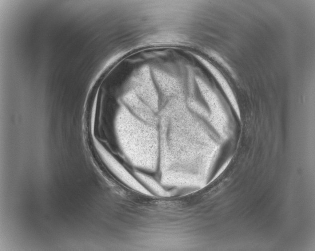 X0000072531469200608111733