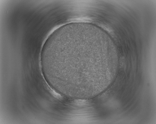 X0000072531470200608111733