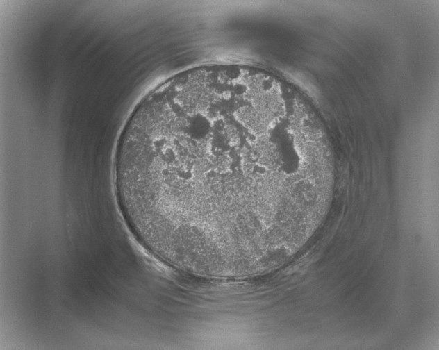 X0000072531471200608111733