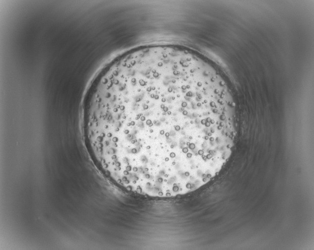 X0000072531472200608111733