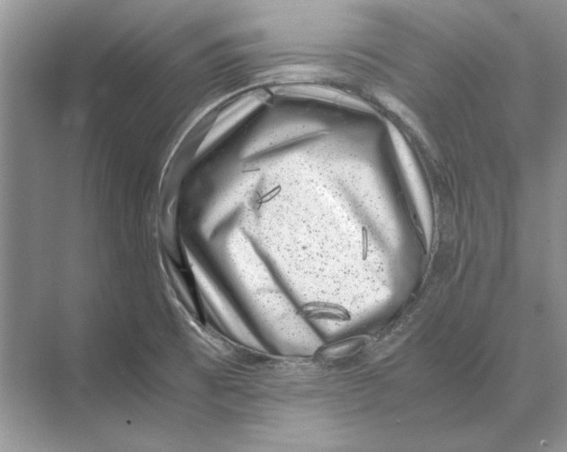 X0000072531473200608111733