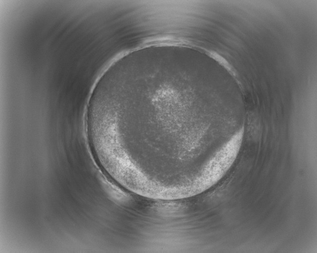 X0000072531474200608111733