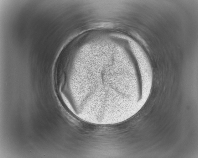 X0000072531475200608111733