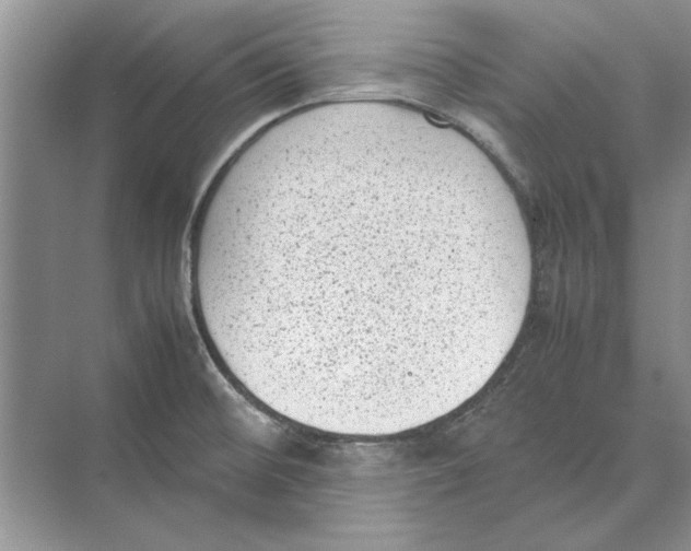 X0000072531476200608111733