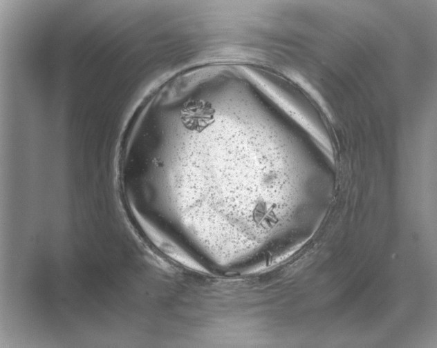 X0000072531477200608111733