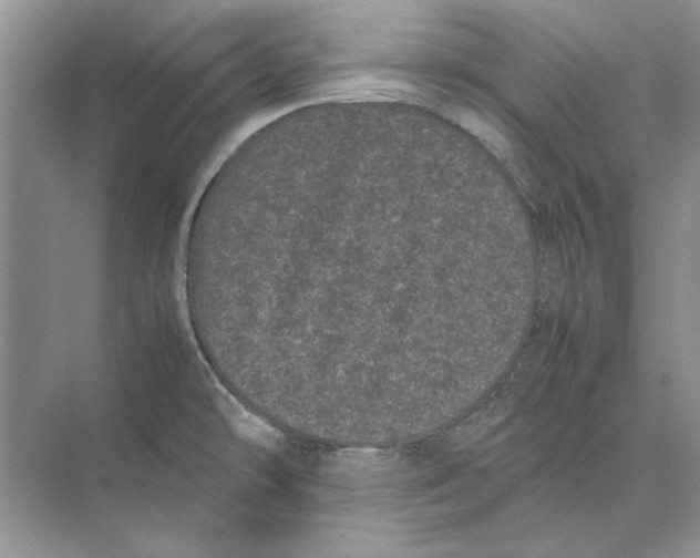 X0000072531478200608111733