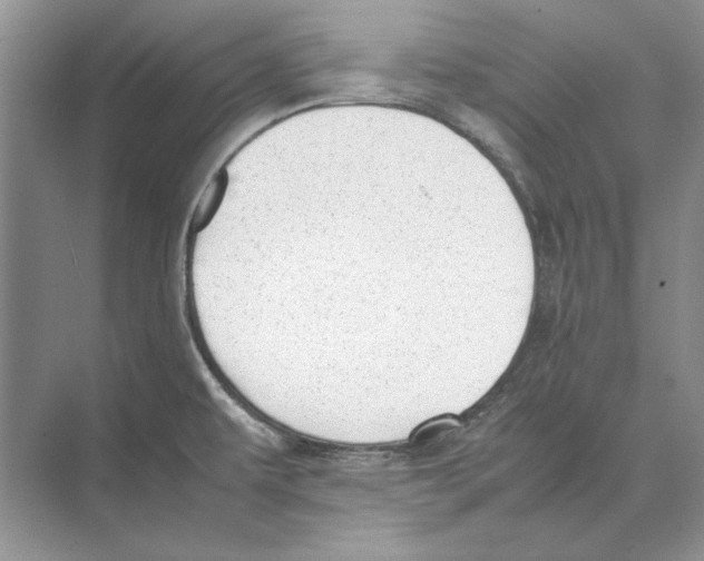 X0000072531479200608111733