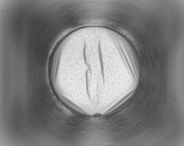 X0000072531480200608111733