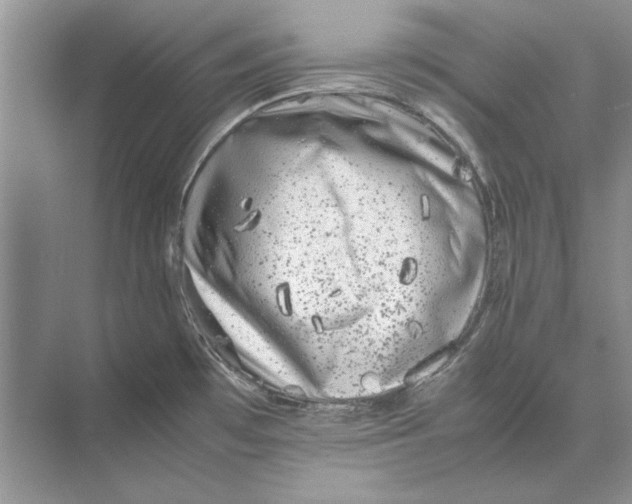 X0000072531481200608111733