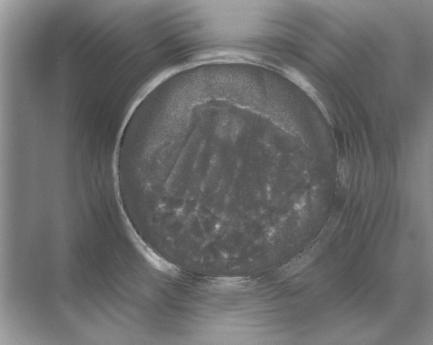 X0000072531482200608111733