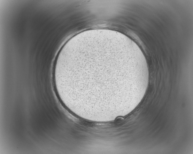 X0000072531483200608111733