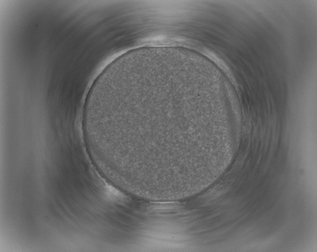 X0000072531486200608111733