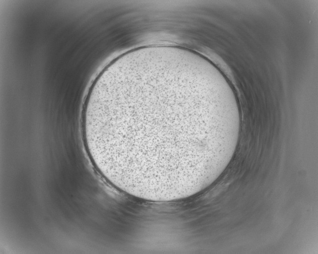 X0000072531488200608111733