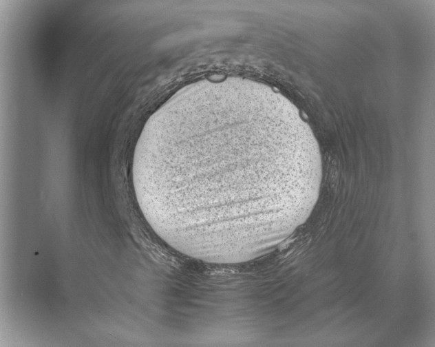 X0000072531489200608111732