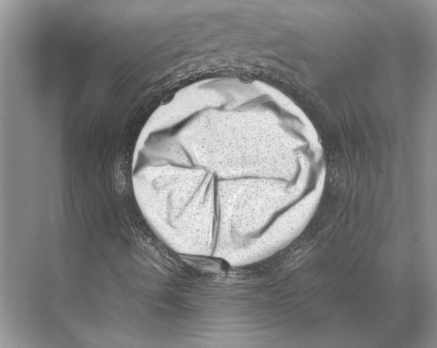 X0000072531490200608111732