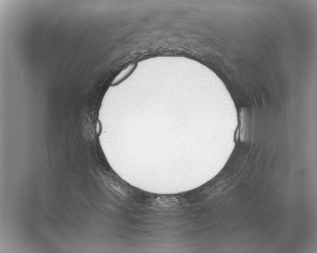 X0000072531491200608111732