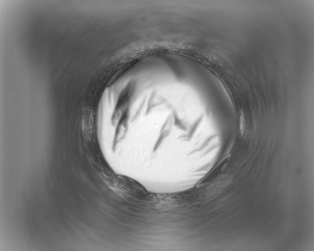 X0000072531492200608111732