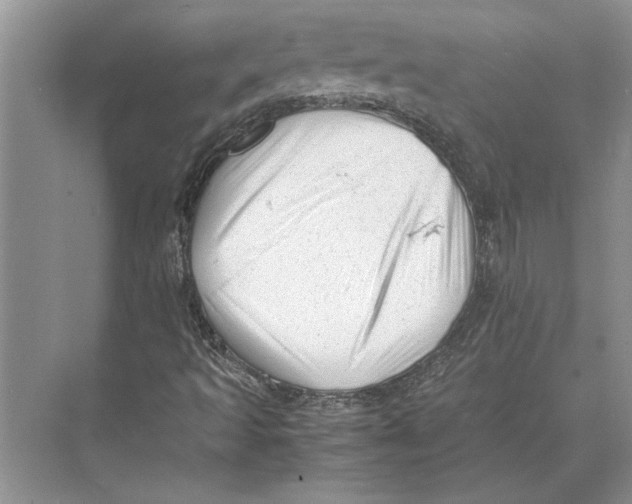 X0000072531493200608111732