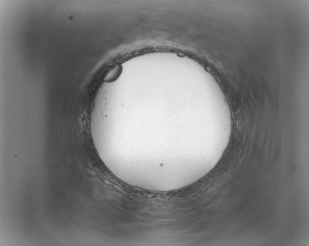 X0000072531495200608111732