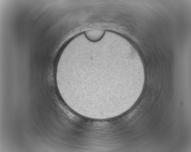 X0000072531498200608111732