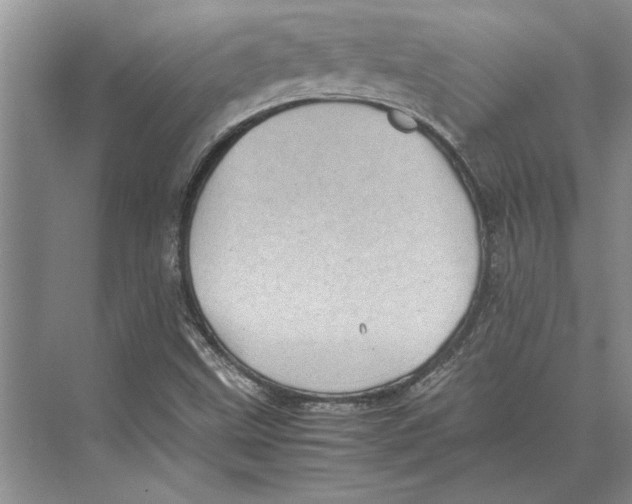 X0000072531499200608111732