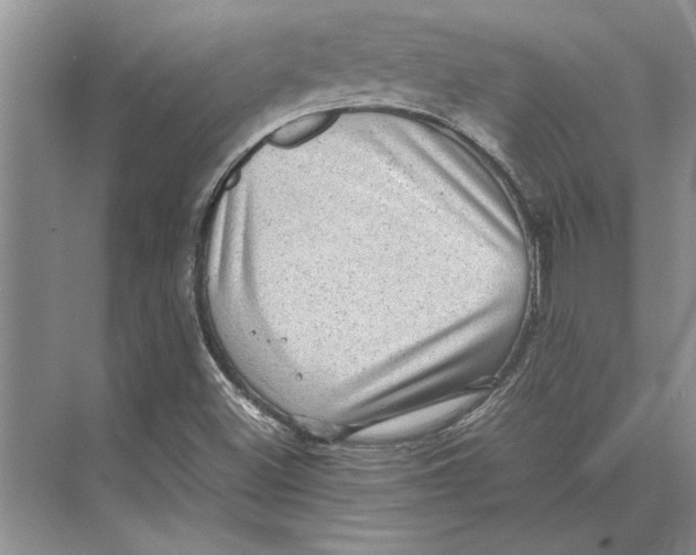 X0000072531500200608111732