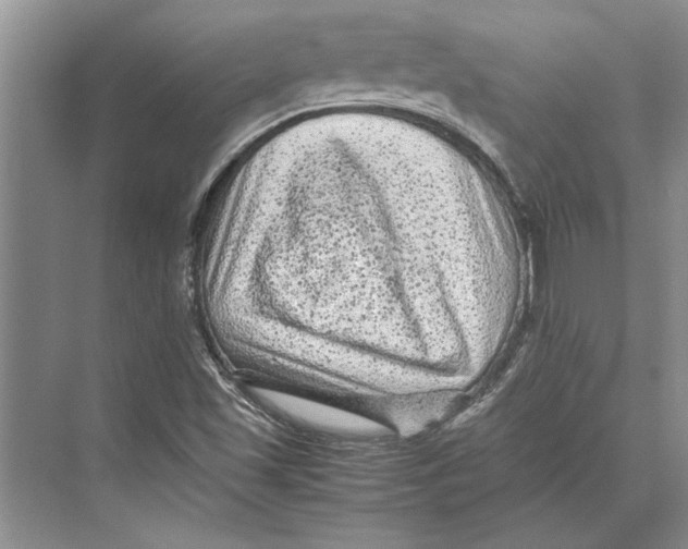 X0000072531501200608111732