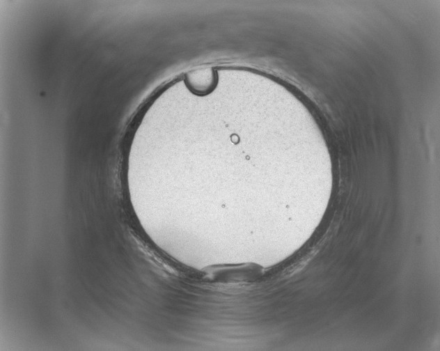 X0000072531502200608111732