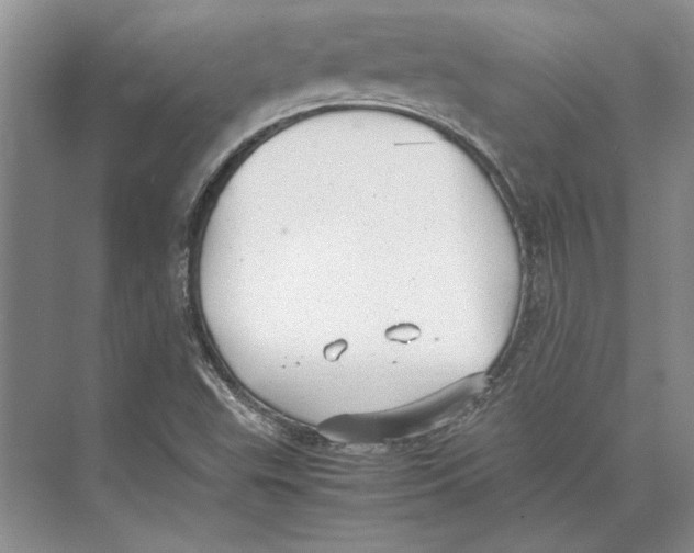 X0000072531503200608111733