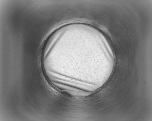 X0000072531504200608111733