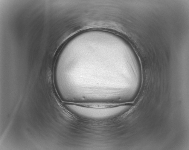 X0000072531505200608111733