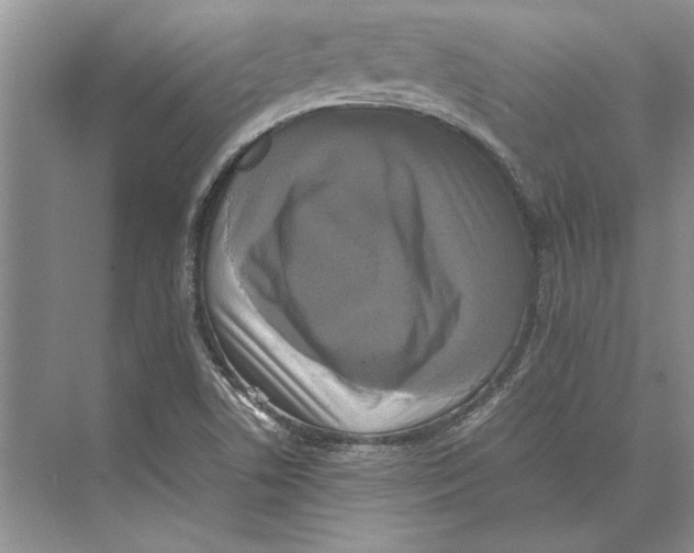 X0000072531506200608111733